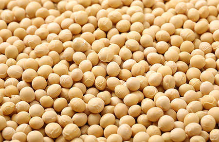 Những lợi ích đáng kinh ngạc của đậu nành sẽ làm bạn bất ngờ